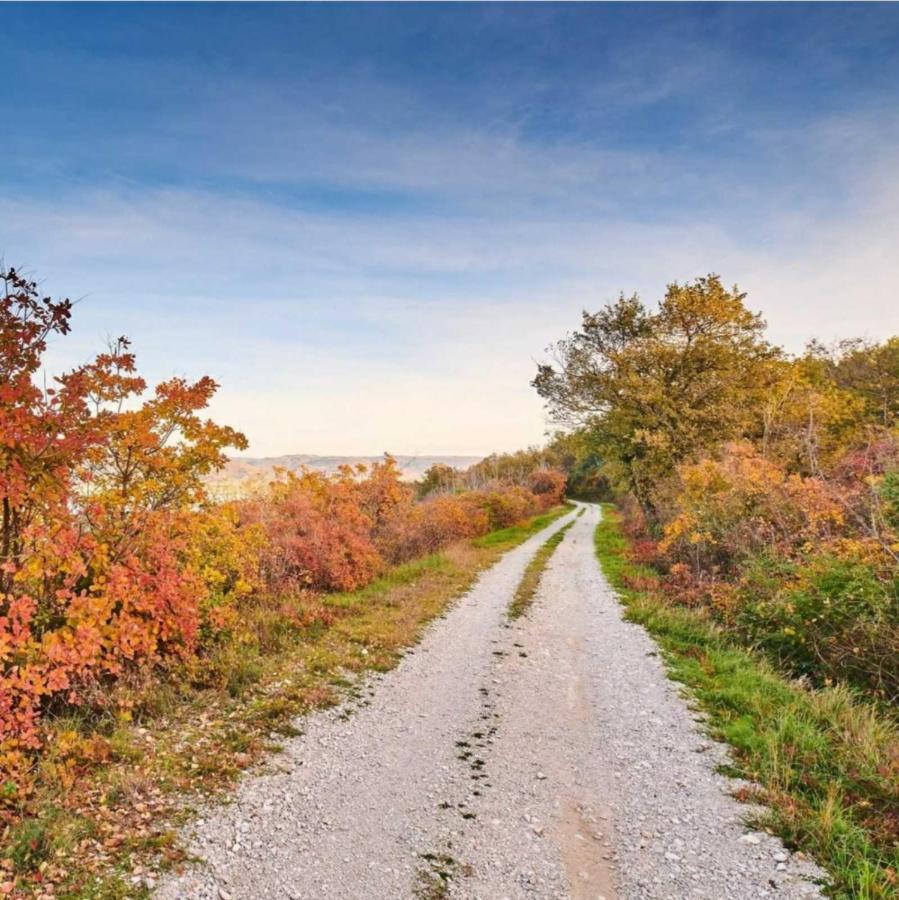 Apartma Parenzana, Little Row House With Big Yard In Istria