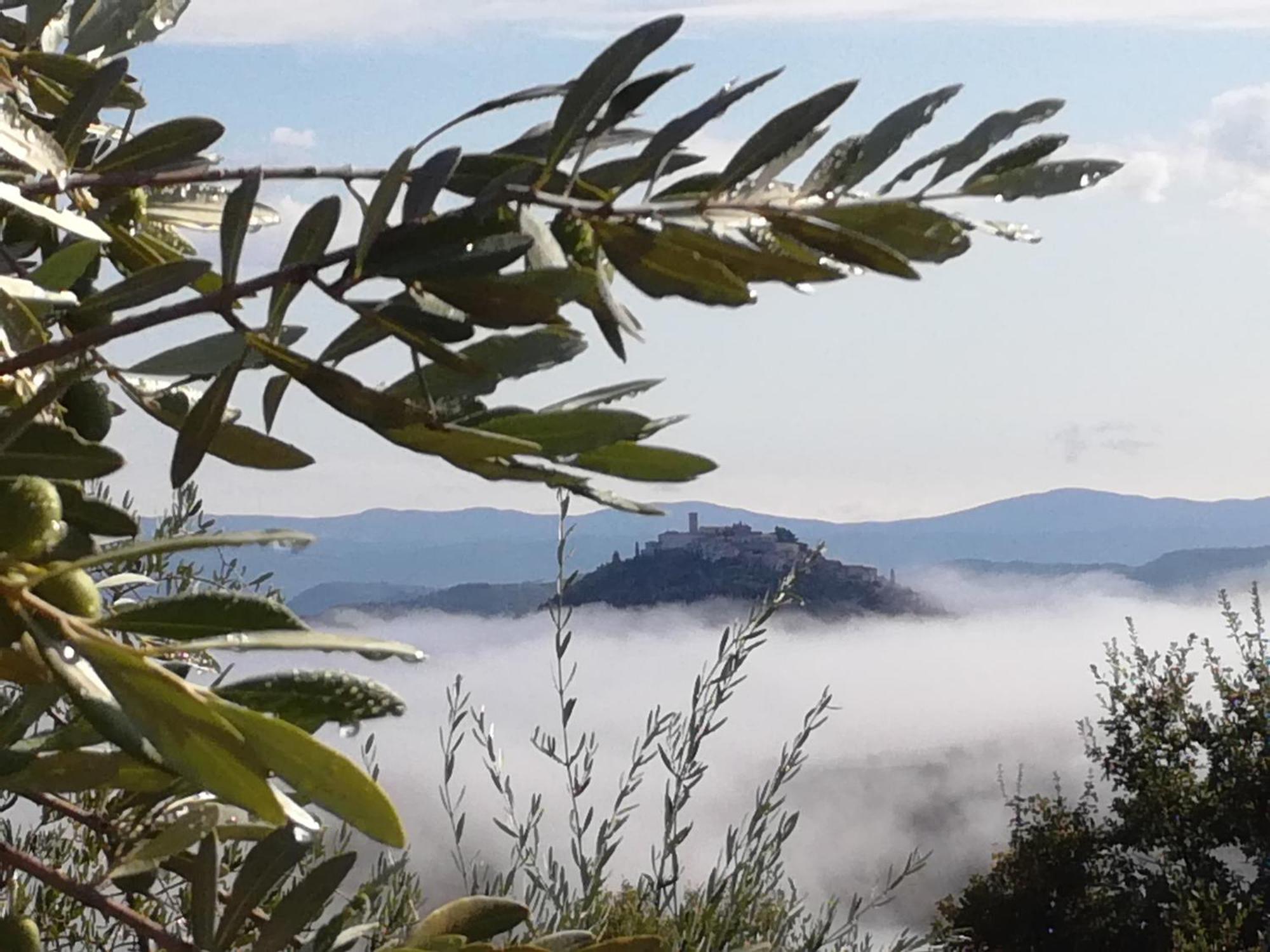 Apartma Parenzana, Little Row House With Big Yard In Istria Rakotule